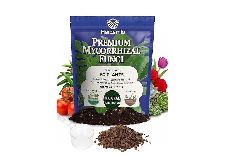 Herdemia Mycorrhizal Fungi