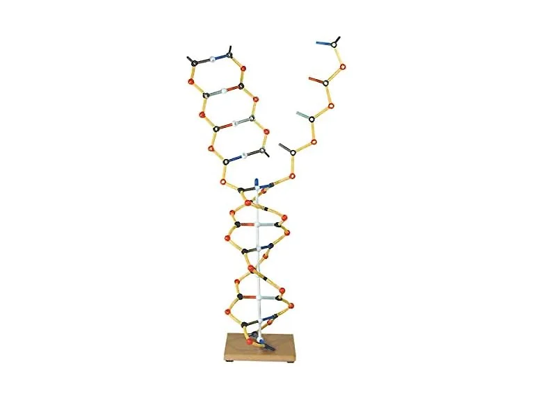 Cochranes of Oxford Science And Nature Orbit Dna-rna Kit 0