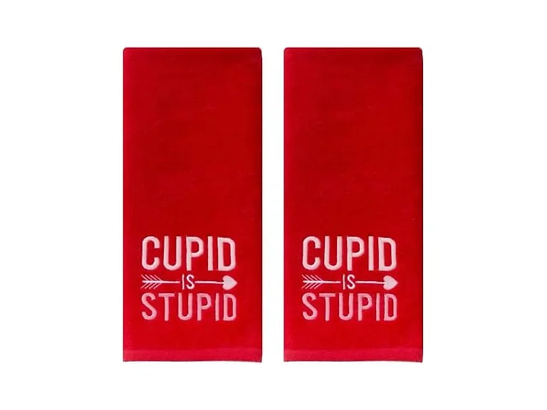 SKL Home Valentine's Day Cupid is Stupid