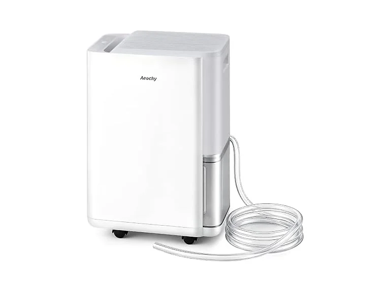 AEOCKY 40Pt/D Small Dehumidifier