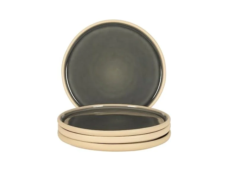  Port Gaia 10.2 Inch Dinner Plates Set of 4 