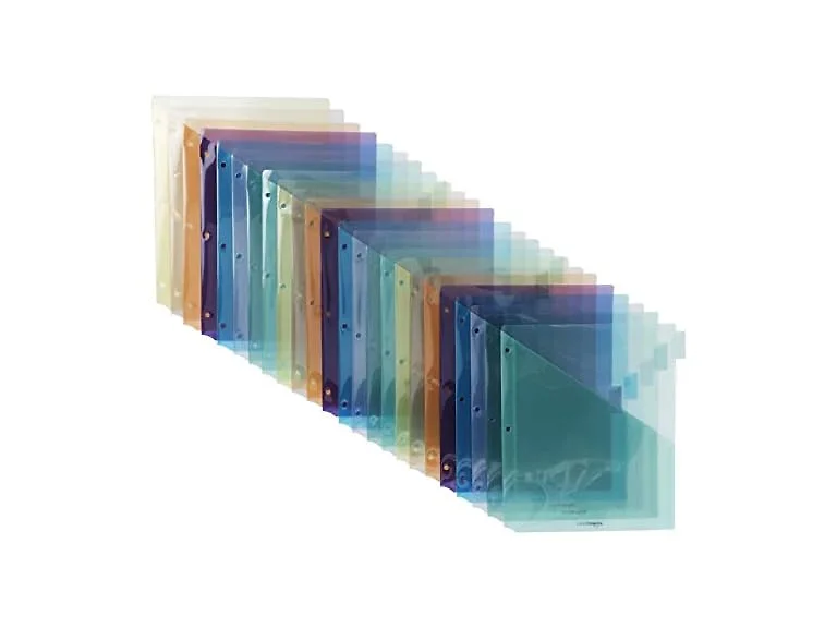 Amazon Basics Two Pocket Plastic Dividers