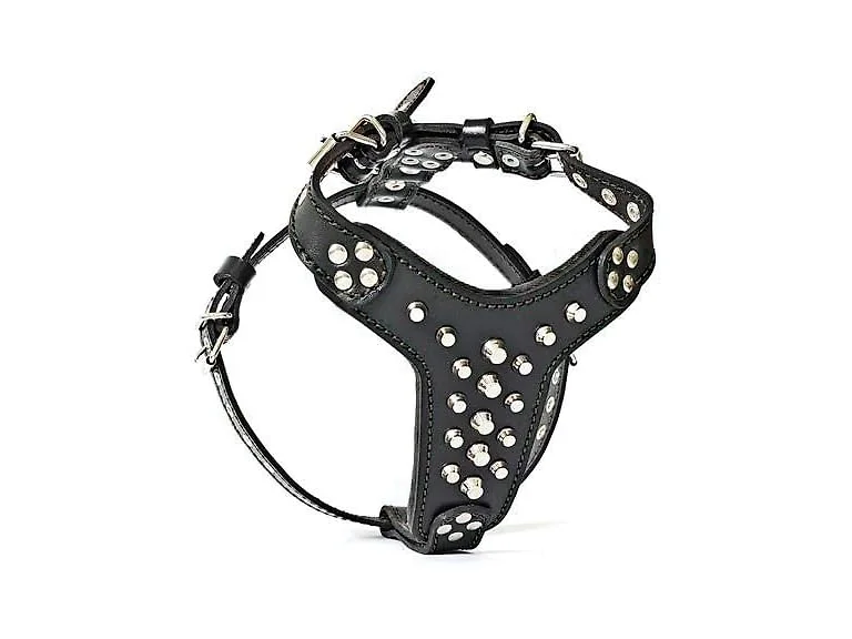 Bestia Studded Leather Harness. French Bulld