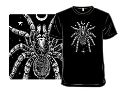 Nocturnal Tarantula