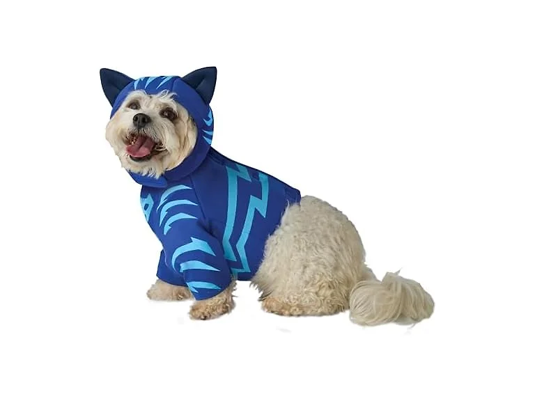 California Costumes PJ Masks Catboy Costume