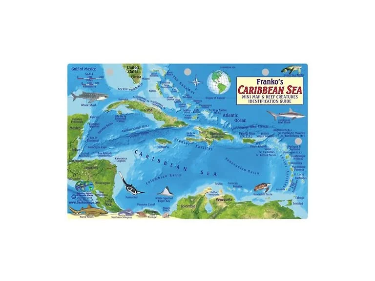 Caribbean Sea Fish ID Card & Island Map