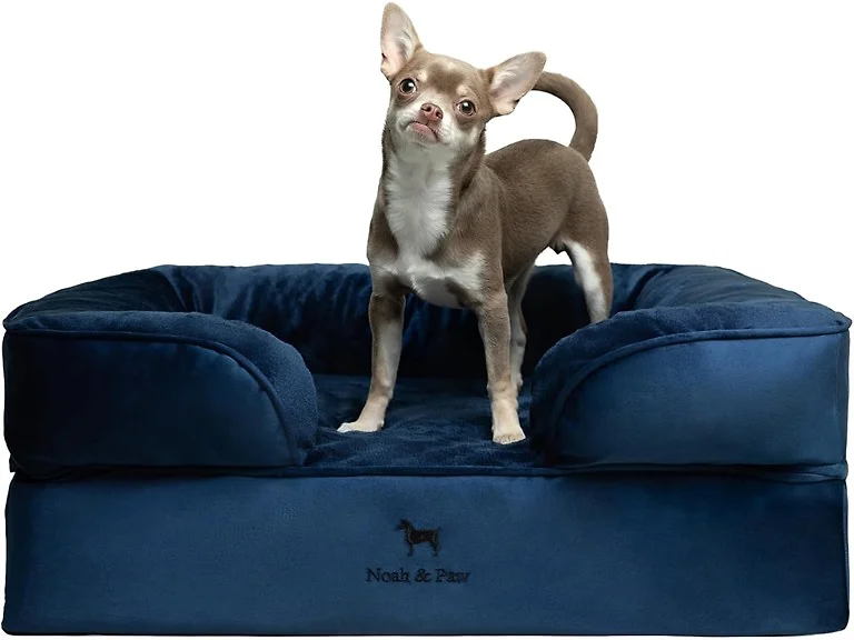 NOAH & PAW Dog/Cat Sofa- Medium