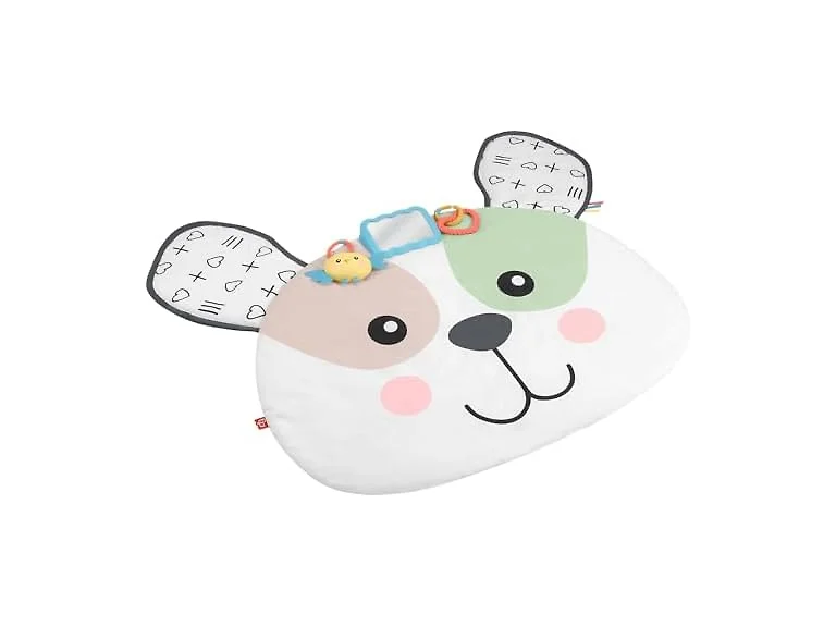 Fisher-Price Baby Tummy Time Toy