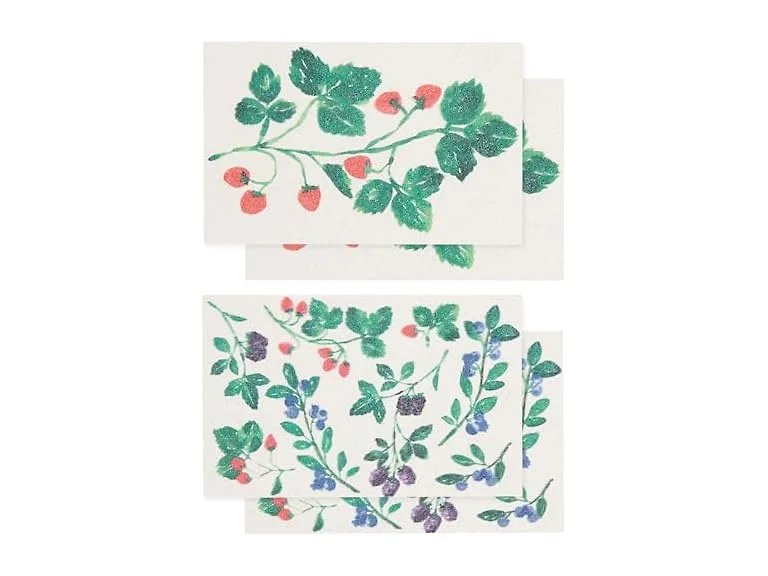 Now Designs Berry Bramble Pop Up Sponges Set
