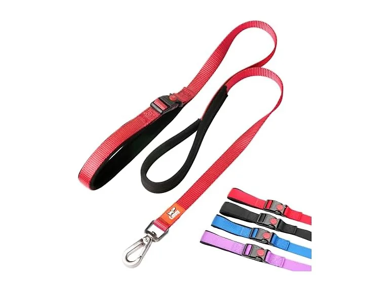 Canny Connect Leash