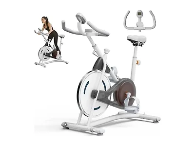 NAYSAYE Stationary Bike