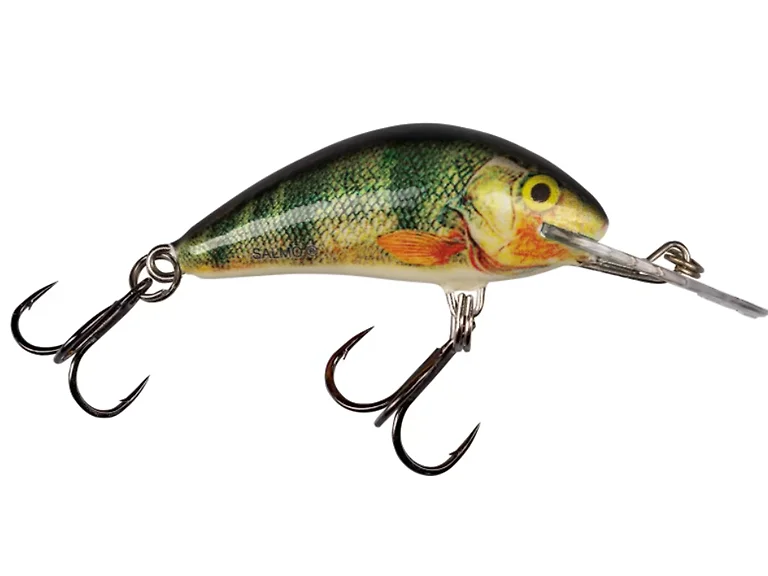 SALMO QHT895 Hornet 050 Supernatural Perch