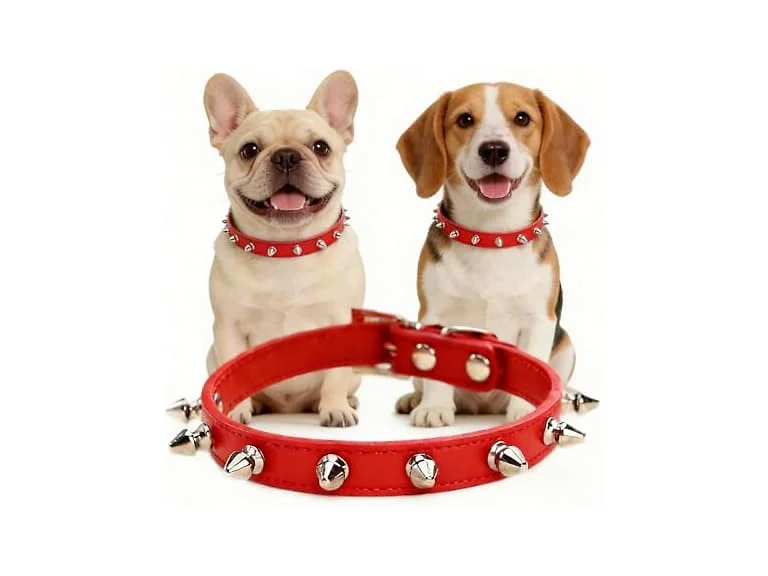 Enjoying Spiky Dog Collar, Spiked Dog Collar
