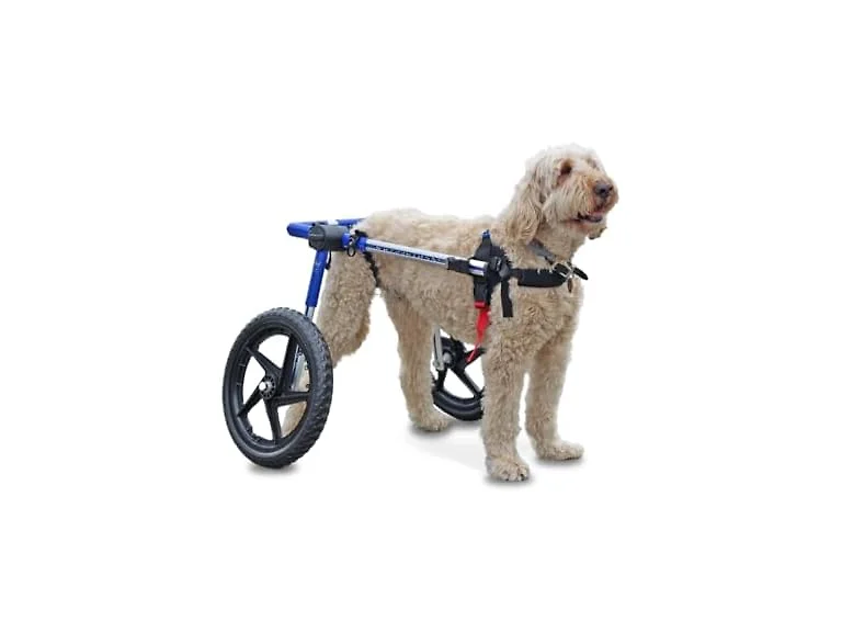 Walkin' Wheels Dog Wheelchair - for Med/Large