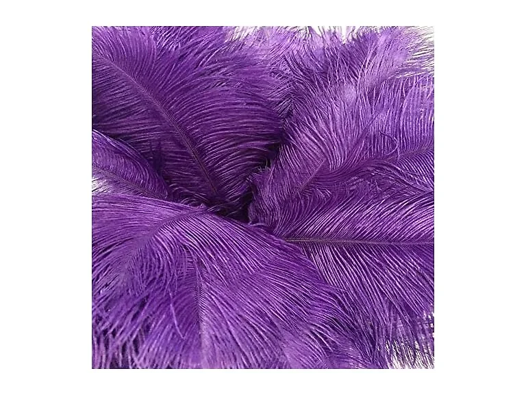 AABABUY 10pcs Ostrich Feathers 16-18inch (Purple)