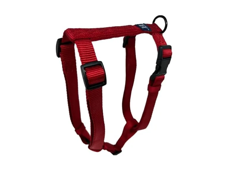 Hamilton Adjustable Comfort Nylon Dog Harness, Red