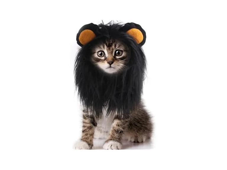 WALDOR Pet Hair Costume