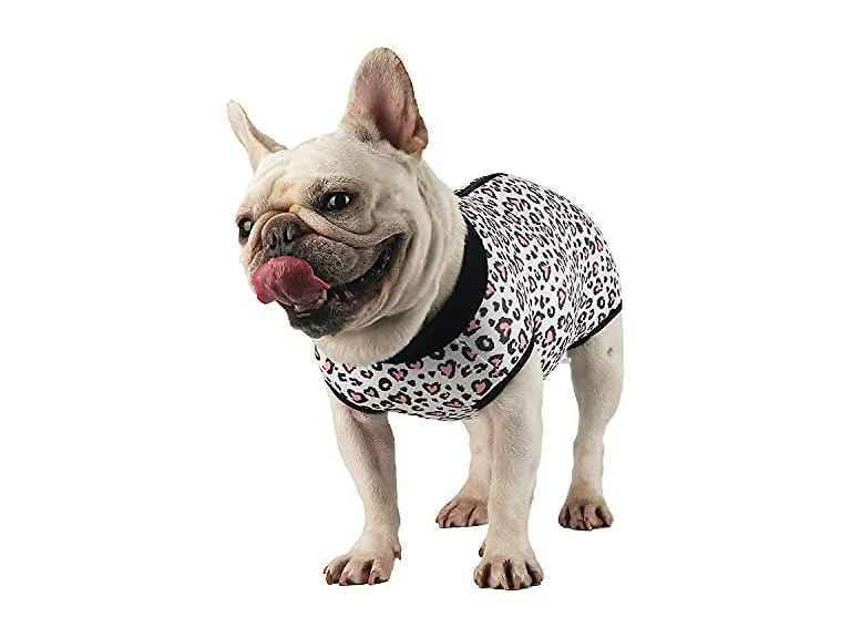 Etdane Dog Recovery Suit for Female Male Dog