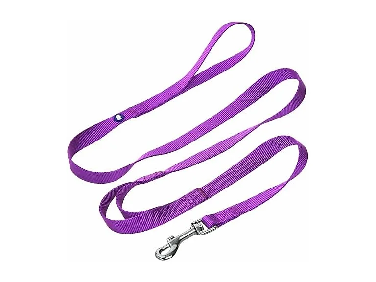 Blueberry Pet Essentials Double Handle Dog L