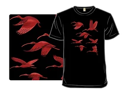Flock of Flamingos