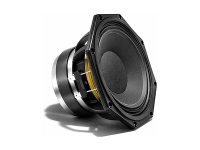 B&C 8-Inch Mid-Bass Woofer