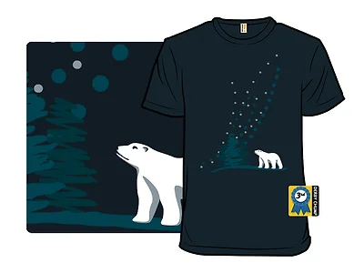 Northern Lights (Take II)
