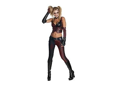 Harley Quinn Women's Costume