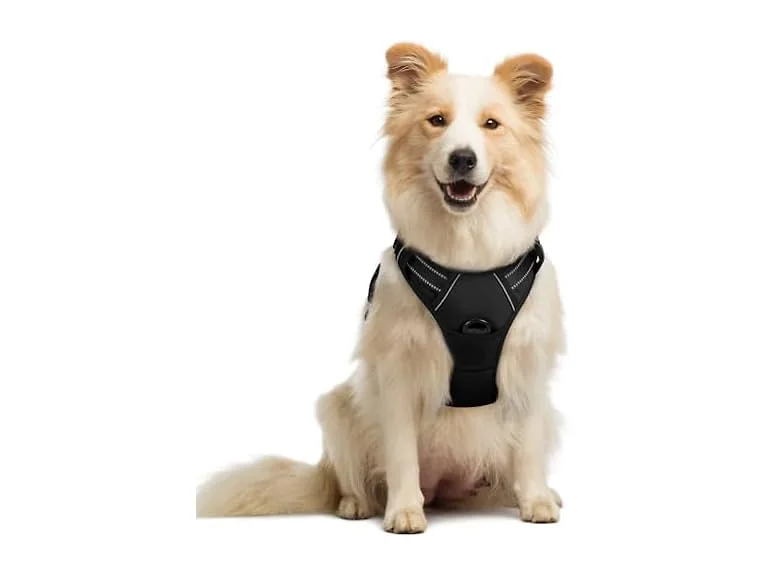 rabbitgoo Dog Harness, No Pull Medium Sized