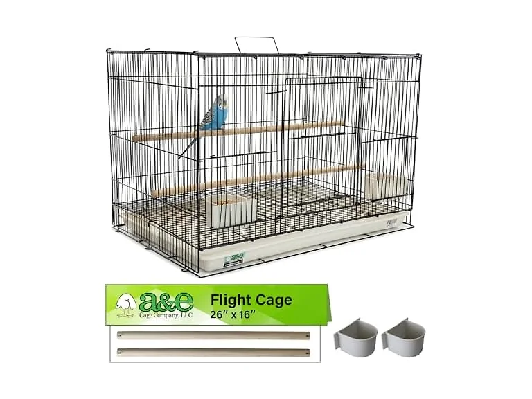 A&E Cage Co 503 Flight Cage 24"x16"x16" Small Bird Cage