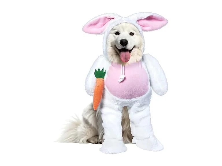 Rubies Walking Bunny Pet Costume for Dogs or Cats, Small