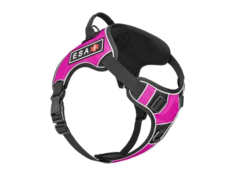 Dogline Quest No-Pull Dog Harness with 3D Ru