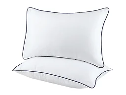 Dan River 2 Pack Down Alternative Pillow Set (White)