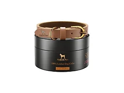NOAH & PAW CR-LE-CA-S S NOAH & PAW Small Dog Collar 