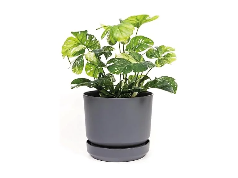 Elly Décor 8" Plastic Cylinder Planter