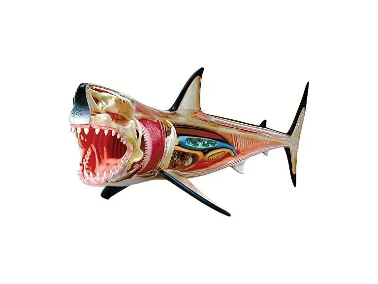 TEDCO 4D Vision Great White Shark Puzzles