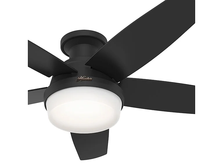 Hunter Fan 48" Light & Remote, Matte Black
