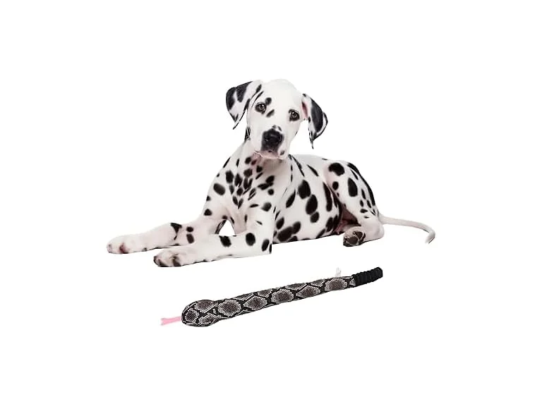 SPOT Slithery Snake Plush Dog Toy – 24" *