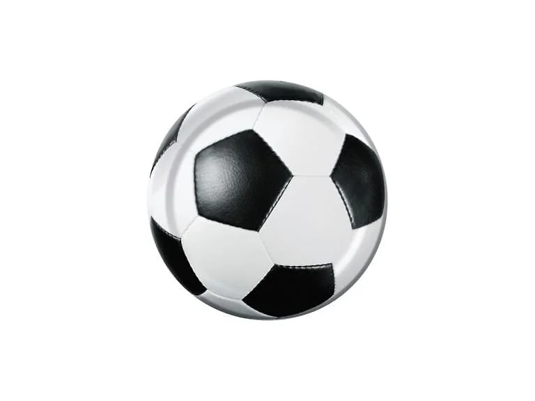 Soccer Fanatic 7" Cake/Dessert Plates