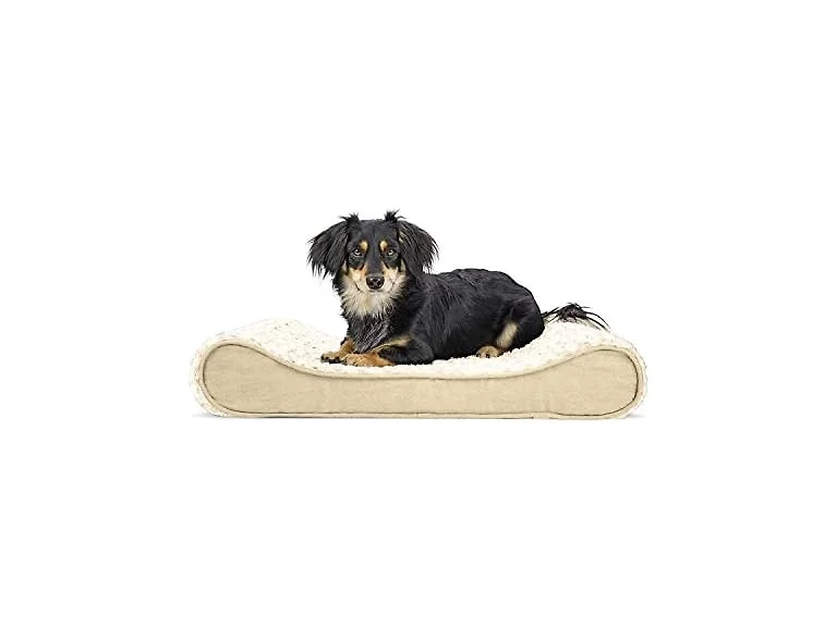 Furhaven Orthopedic Dog Bed for Medium/Small 