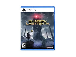 Bandai Namco Shadow Labyrinth PS5 Standard Edition