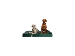 NOAH & PAW CL-VE-DGR-XXL XXL NOAH & PAW Dog Bed - Class