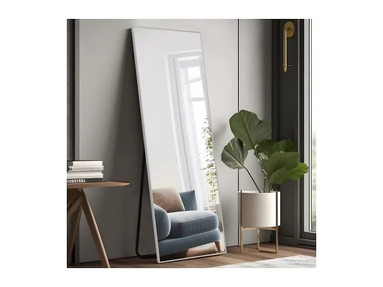 NeuType 64"x21" Full Length Mirror