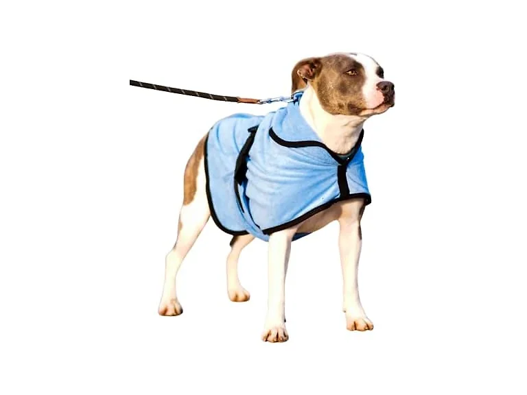 Dog Pajamas After Surgery Dog Recovery Onesi