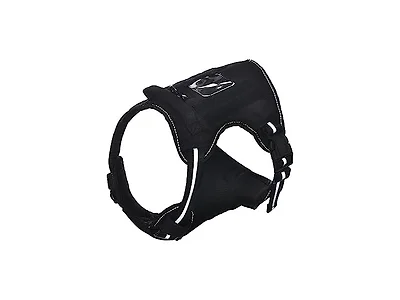 Amazon Basics No Pull Dog Harness
