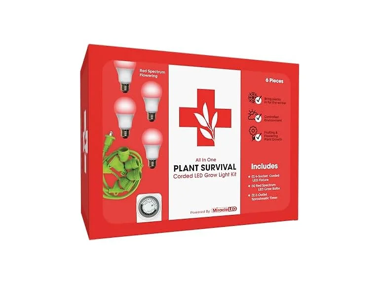 Growing Kit Red Spectrum 6.5KK