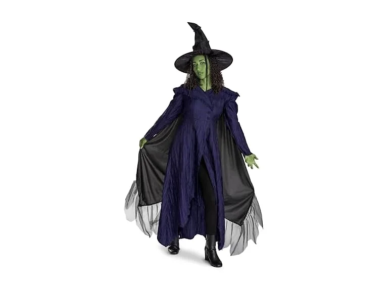 Disguise Wicked Elphaba Adult Deluxe Costume Small (4-6)
