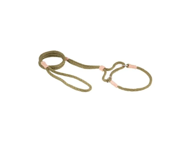 Alvalley Martingale Dog Leash with Collar