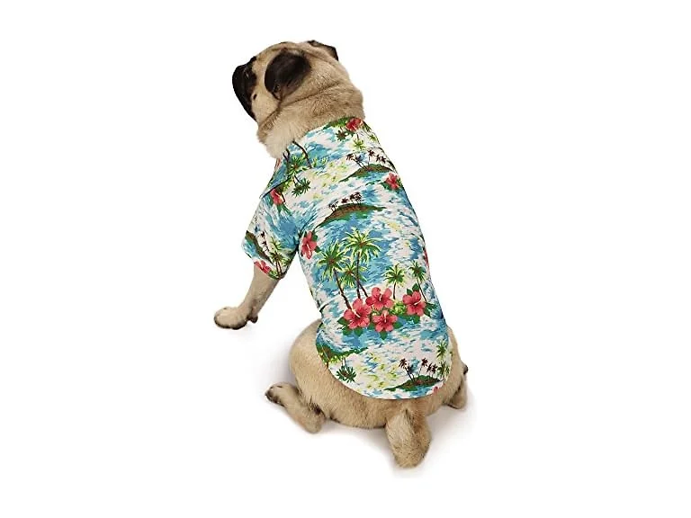 Casual Canine Hawaiian Breeze Camp Shirt, Large, Blue