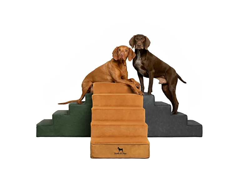 Noah & Paw Dog Stairs