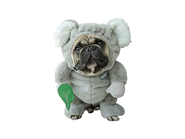 Pandaloon Pet Costume As Seen on Shark Tank